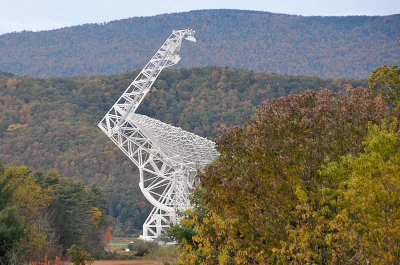 dish