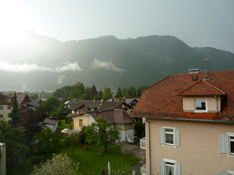 view