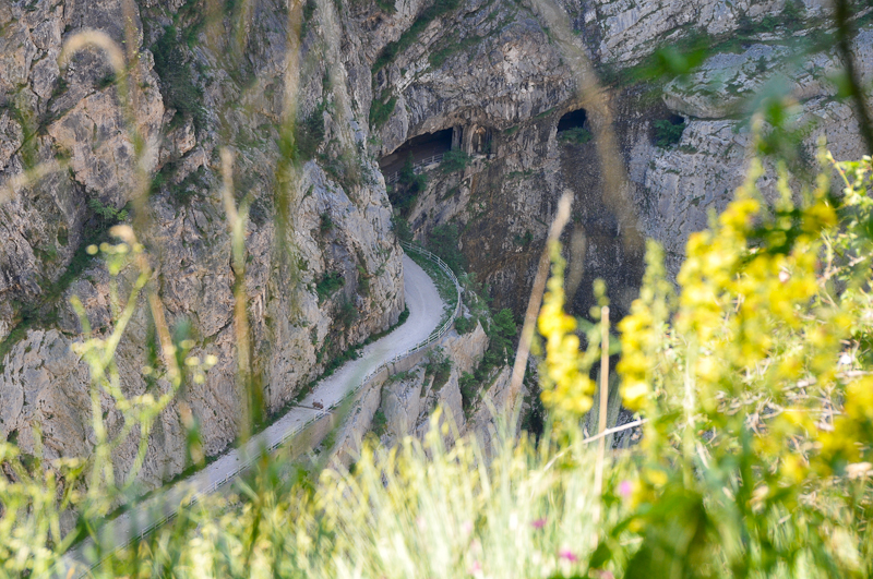 dam6