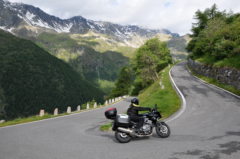 gavia3
