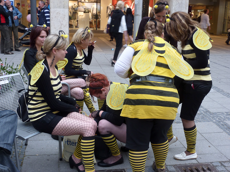 bees