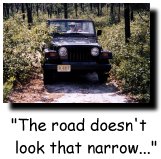 The road doesn't look that narrow