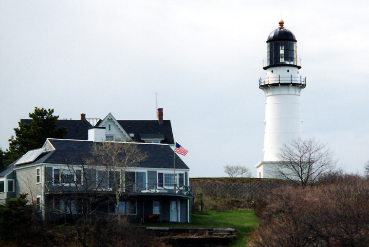 bug light