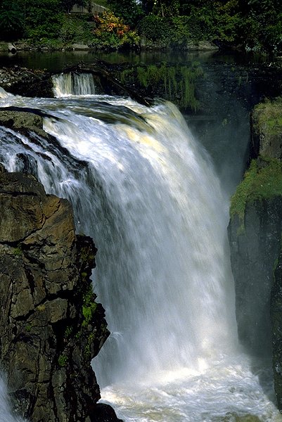 Paterson Falls 2