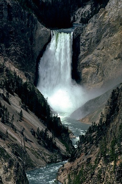 Yellowstone Falls