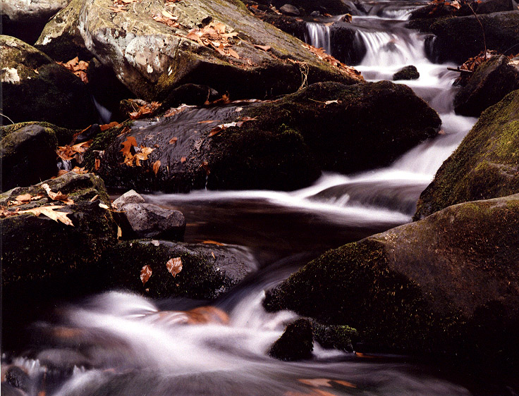 Bushkill Stream 2