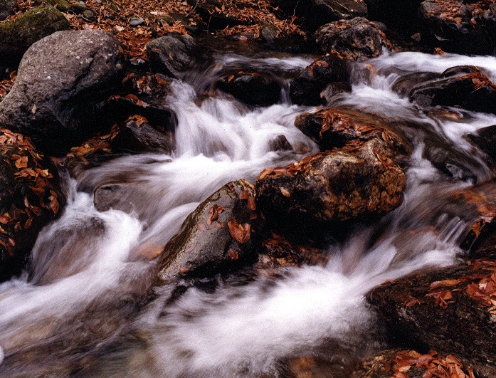 Bushkill Stream