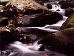 Bushkill Stream 2