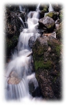 Trailside Cascade